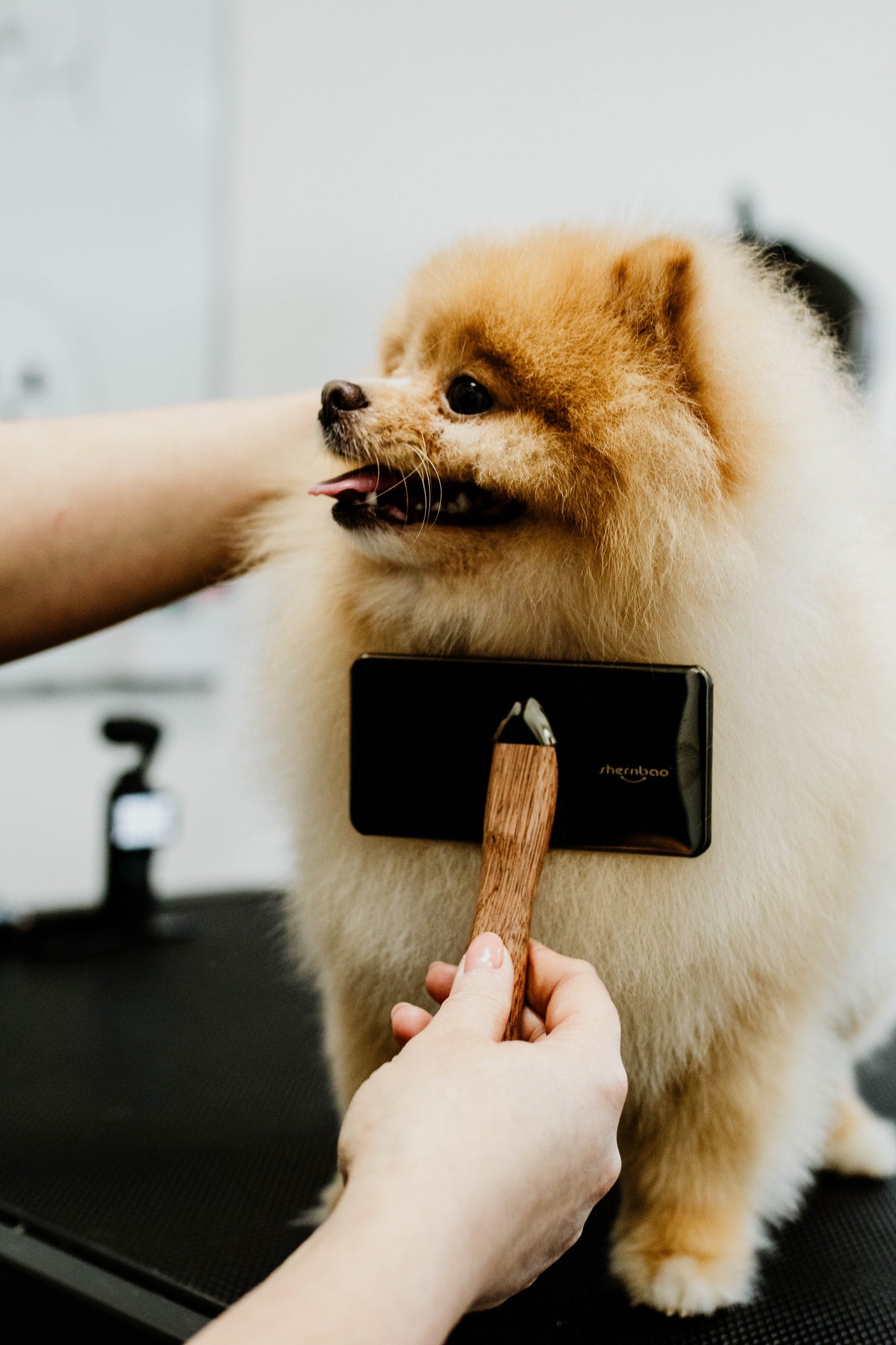 Shernbao Mirror Brushes