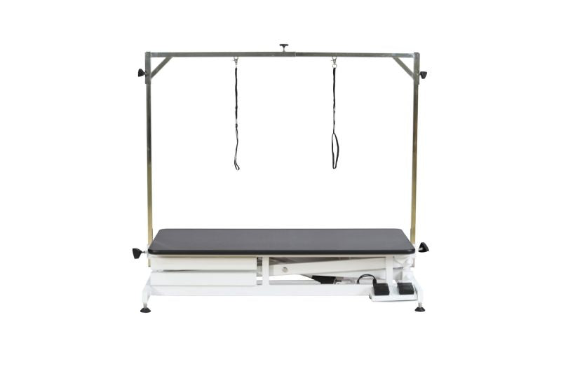 FT-808-ECO Low-Low Electric Lifting Grooming Table powered by Chendi actuator, adjustable height 9–38 inches.