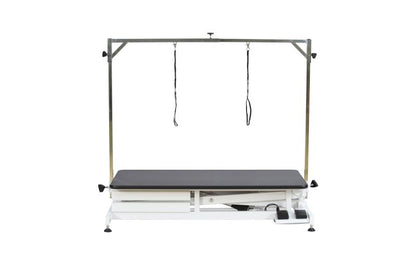FT-808-ECO Low-Low Electric Lifting Grooming Table powered by Chendi actuator, adjustable height 9–38 inches.