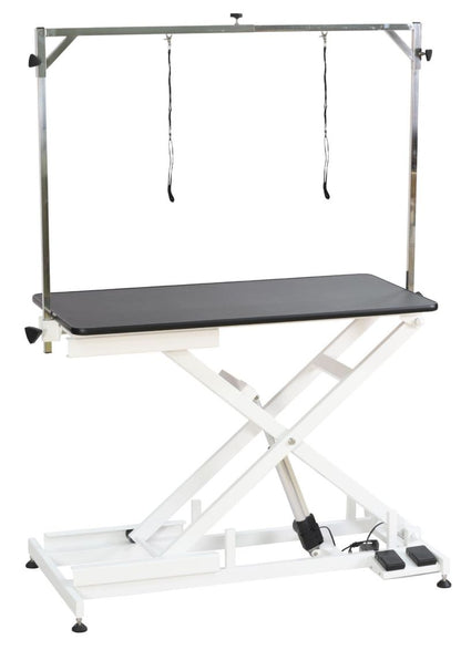 FT-808-ECO Low-Low Electric Lifting Grooming Table powered by Chendi actuator, adjustable height 9–38 inches.